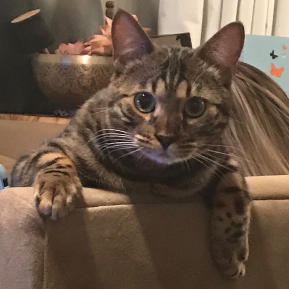 Meet your Posher, Kathlene